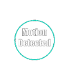 Motion On Animation